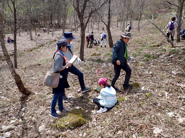 植栽木の生育調査の様子
