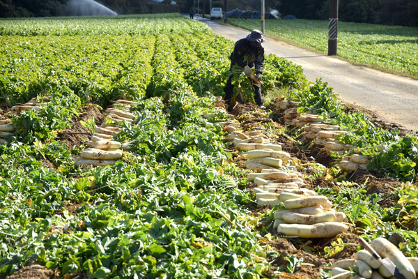 名古屋大学  福本雅之  客員准教授よりリレーレクチャー