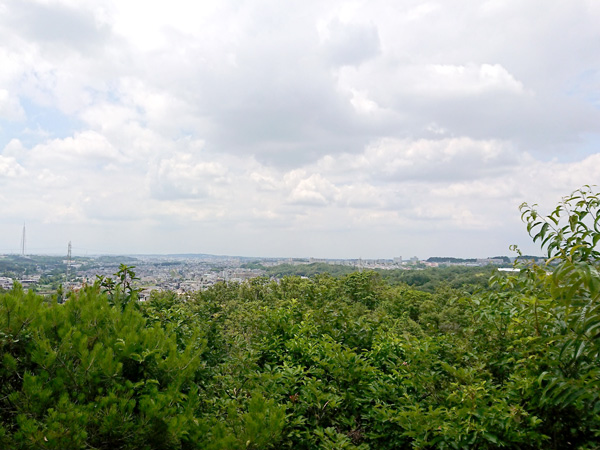 海上の森からの眺め