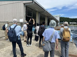 IMG_5201.JPEG